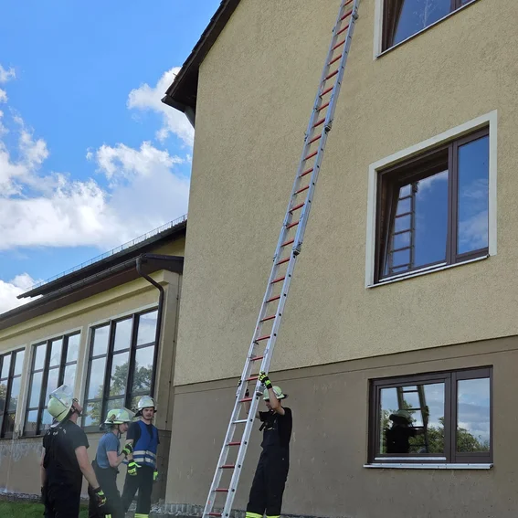 20250830_161724_BSH_Steckleiter2.JPG
