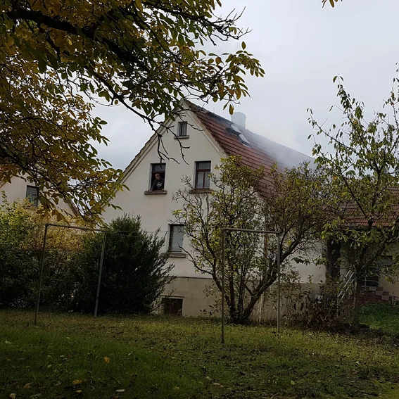 20241012_152423_Ni_Nebel.JPG