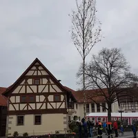 20230429_1823120_baum.jpg