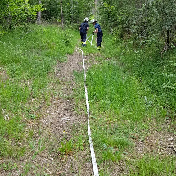 20230610_164523.jpg